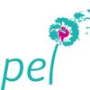 Logo of the association APEL ECOLE ST RAPHAEL ST CHARLES